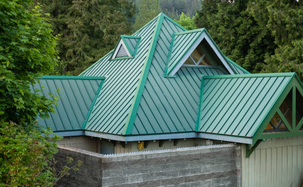 Best Roof Moss and Algae Removal  in Ambler, PA